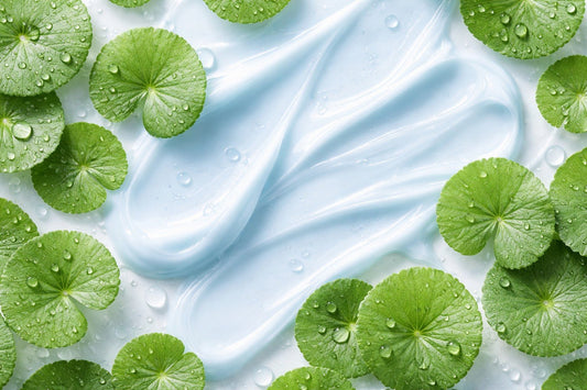 Centella Asiatica Soothing Cream: The Research Behind Calming Red, Irritated Skin - PURAMORIA