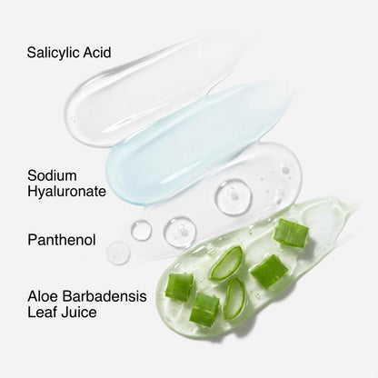 Salicylic Acid Balance Foaming Cleanser - PURAMORIA