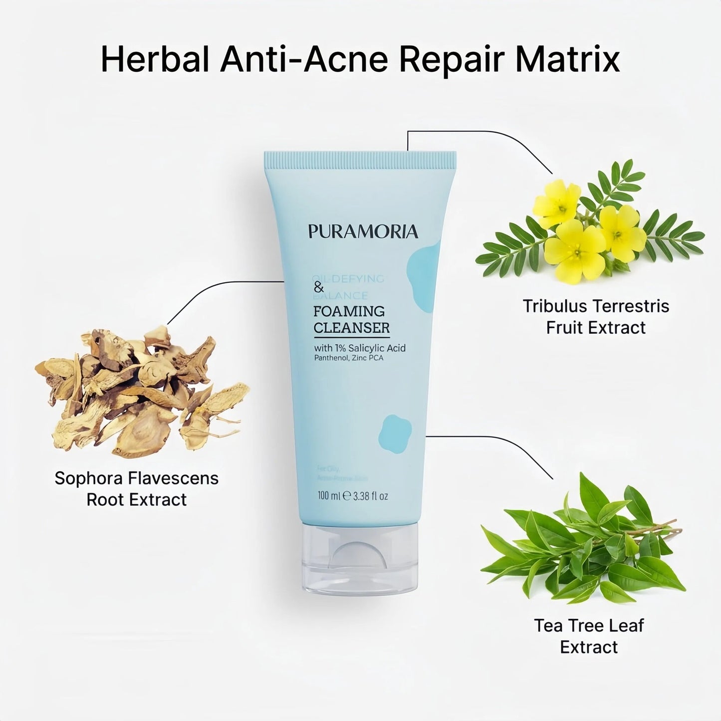 Salicylic Acid Balance Foaming Cleanser - PURAMORIA