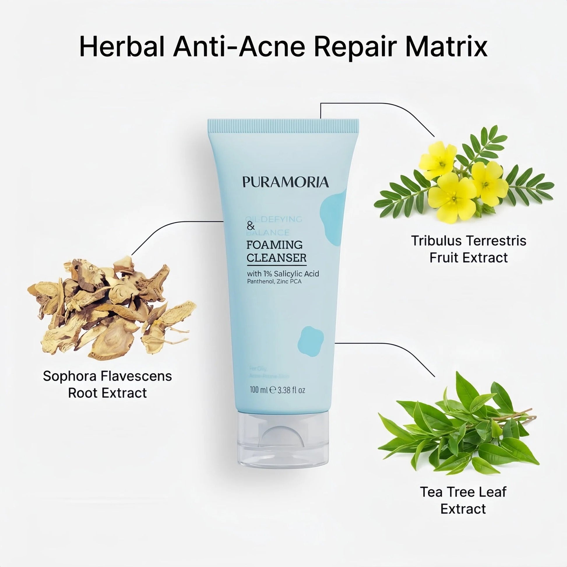 Salicylic Acid Balance Foaming Cleanser - PURAMORIA