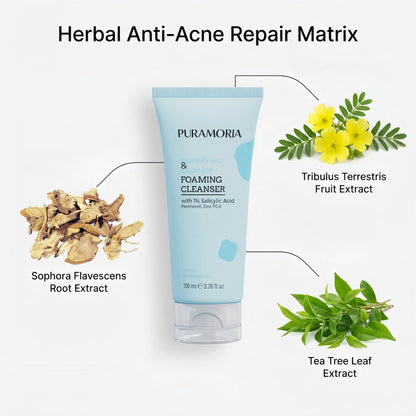 Salicylic Acid Balance Foaming Cleanser - PURAMORIA