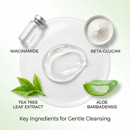 Amino Acid Gentle Moisturizing Cleanser - PURAMORIA